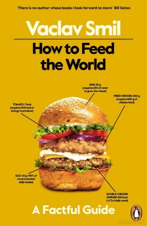 How to Feed the World wer. angielska - Vaclav Smil [KSIĄŻKA]