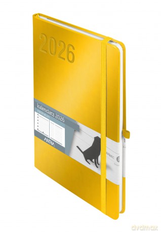 Kalendarz 2026 Minimalizm A5 TNS złoty [KALENDARZ]