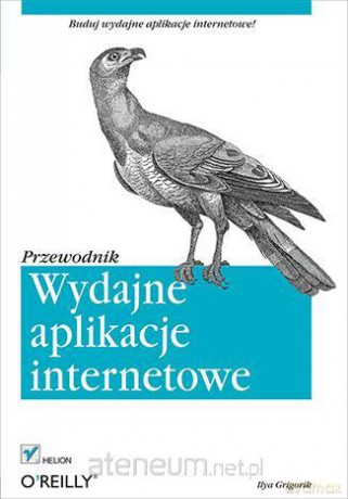Wydajne aplikacje internetowe. Przewodnik [KSIĄŻKA]
