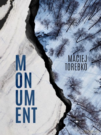Momentum - Maciej Torebko [KSIĄŻKA]