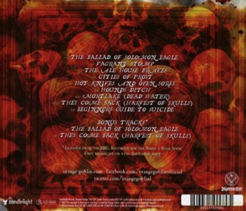 Orange Goblin: Healing Through Fire [CD]
