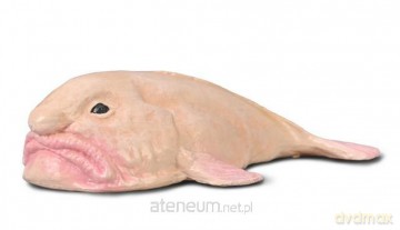 Blobfish