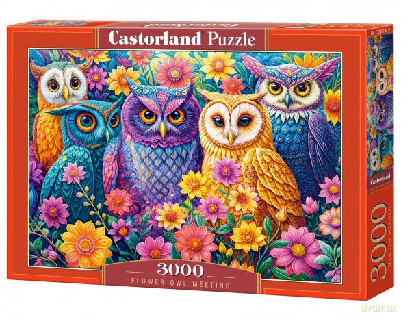CASTORLAND 3000 el. Flower Owl Meeting [PUZZLE]