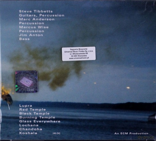 Steve Tibbets: A Man About A Horse [CD]