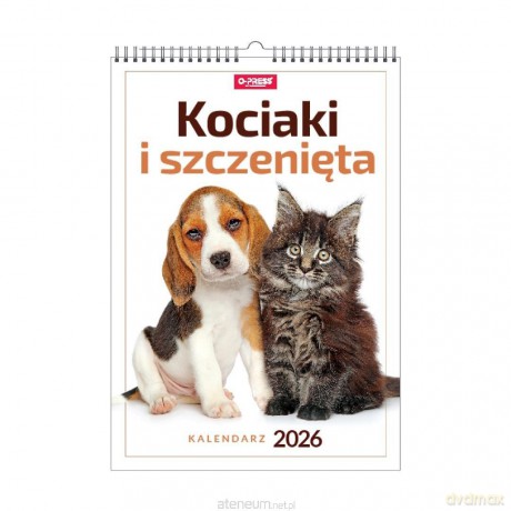 Kalendarz 2026 A3 wieloplanszowy Kociaki i... [KALENDARZ]