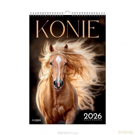 Kalendarz 2026 A3 wieloplanszowy Konie [KALENDARZ]