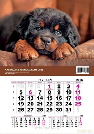 Kalendarz 2026 jednodzielny Pies [KALENDARZ]