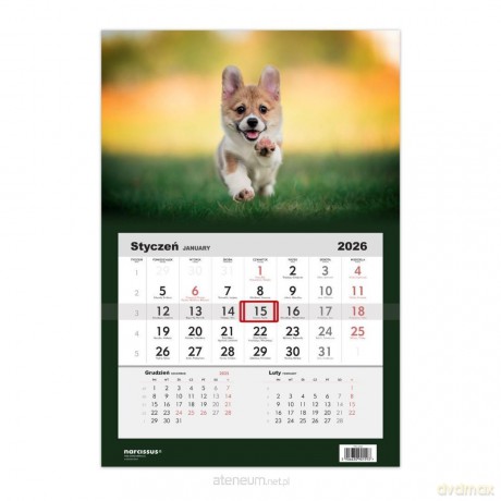 Kalendarz 2026 jednodzielny Pies Corgi [KALENDARZ]