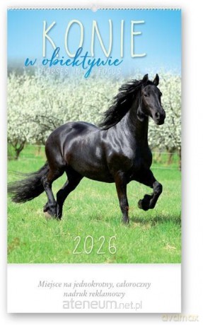 Kalendarz 2026 reklamowy Konie w obiektywie [KALENDARZ]