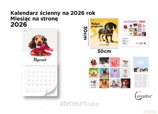 Kalendarz 2026 ścienny 30x30 cm Psy [KALENDARZ]