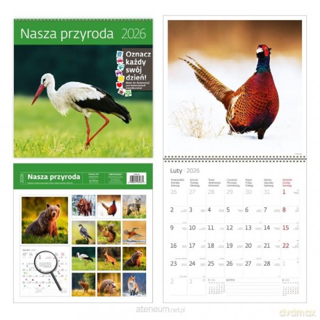 Kalendarz 2026 ścienny 30x30 Nasza przyroda [KALENDARZ]