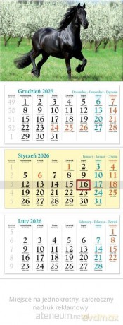 Kalendarz 2026 ścienny trójdzielny Koń [KALENDARZ]