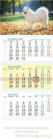 Kalendarz 2026 ścienny trójdzielny Pies [KALENDARZ]