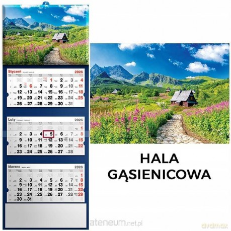 Kalendarz 2026 trójdzielny Hala gąsienicowa [KALENDARZ]