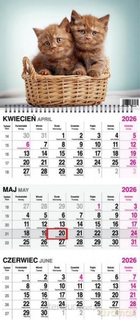 Kalendarz 2026 trójdzielny na spirali Koty [KALENDARZ]