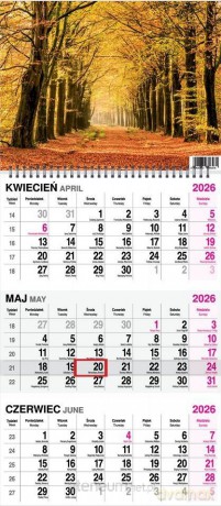 Kalendarz 2026 trójdzielny na spirali Las [KALENDARZ]