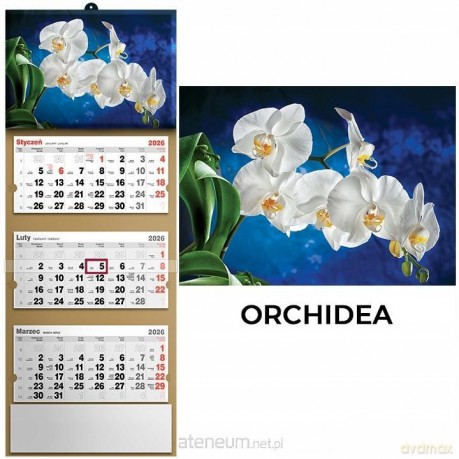 Kalendarz 2026 trójdzielny orchidea [KALENDARZ]