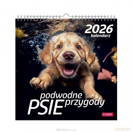 Kalendarz 2026 wieloplanszowy kwadrat Psy pod wodą [KALENDARZ]
