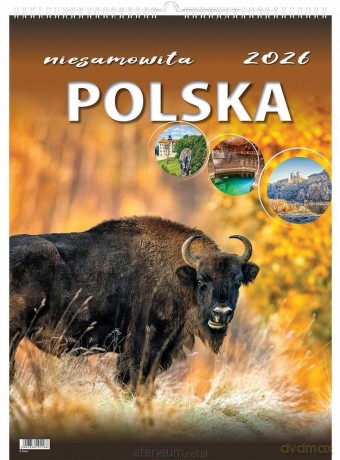 Kalendarz 2026 wieloplanszowy niesamowita Polska [KALENDARZ]