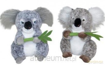 Koala 40 cm MIX