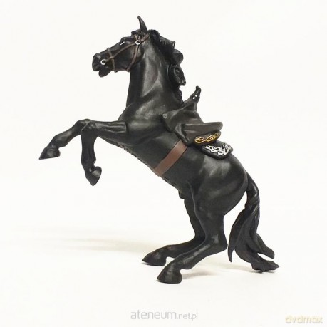 Koń Zorro