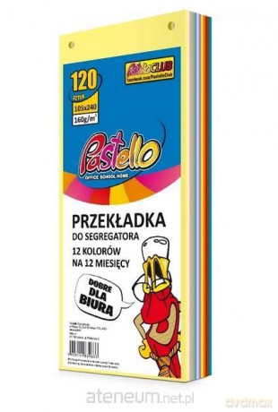 Przekładka do segregatora 1/3 A4 120K 12 kolorów