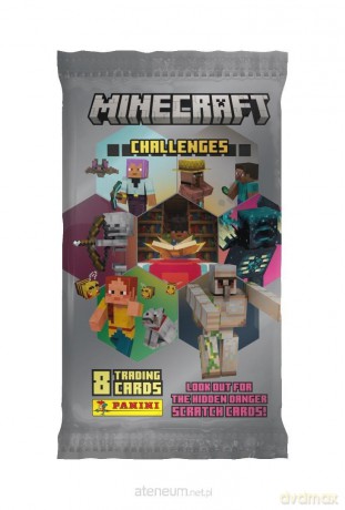 Saszetka z kartami Minecraft