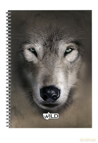 KołoZeszyt Brulion A4/100 kartek Z Perforacją I Kolorowymi Registrami (Wild) [SZKOŁA]