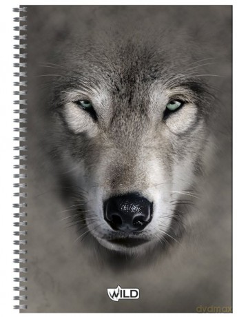 Kołozeszyt B5/160 kartek Z Perforacją I Kolorowymi Registrami (Wild) [SZKOŁA]