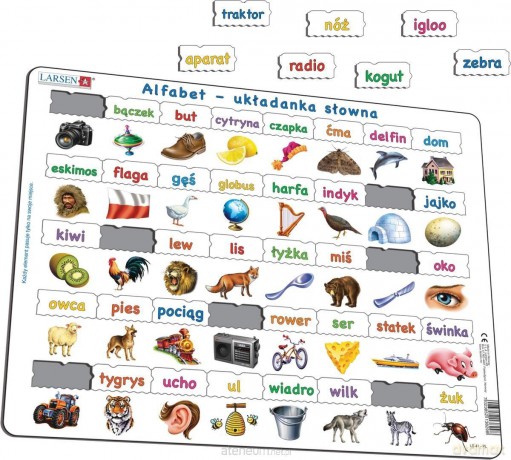 Układanka Alfabet - Słowa Maxi