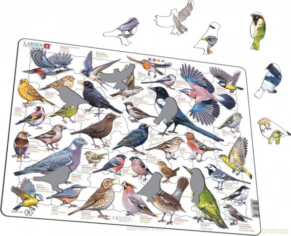 Układanka Garden Birds Ptaki ogrodowe polne Maxi