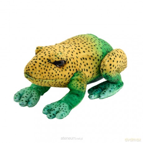 Żaba zielono-żółta 13 cm