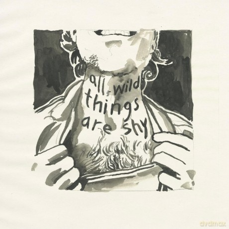 Richard Laviolette: All Wild Things Are Shy [Winyl]