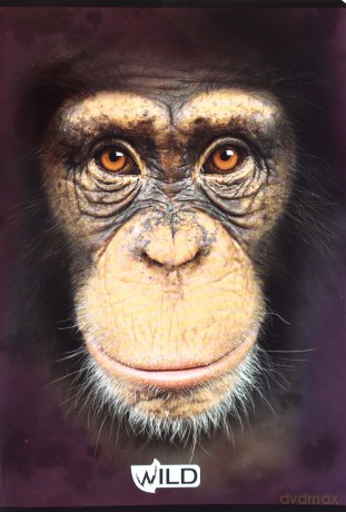 Zeszyt A5/80 kartek Kratka (Wild) [SZKOŁA]