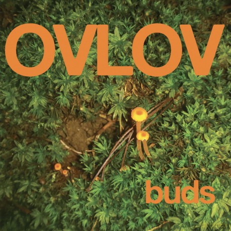 Ovlov: Buds (Orange) (Indie Exclusive) [Winyl]