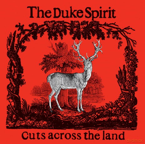 Duke Spirit: Cuts Across The Land (Deluxe) (Yellow/Red Splatter) [Winyl]