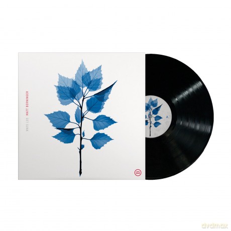 Matt Berninger: Get Sunk [Winyl]