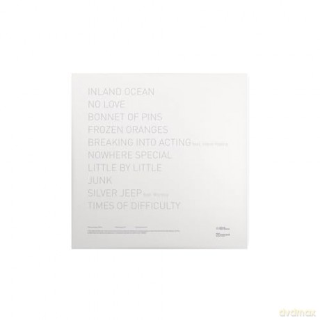 Matt Berninger: Get Sunk [Winyl]