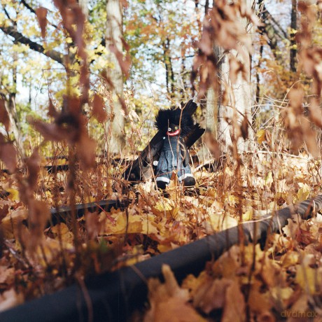 Billy Woods: Golliwog [Winyl]