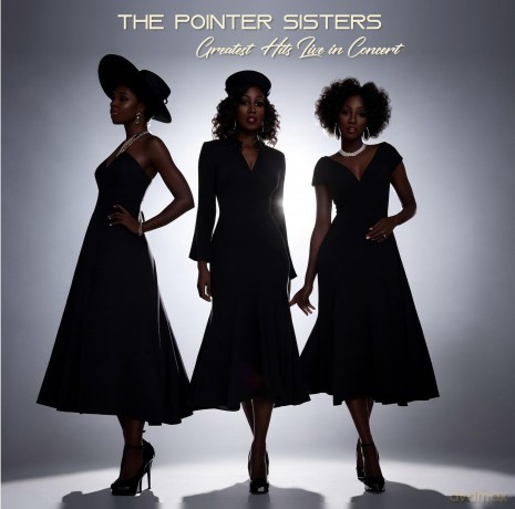 Pointer Sisters: Greatest Hits Live In Concert (Colour In Colour) [Winyl]