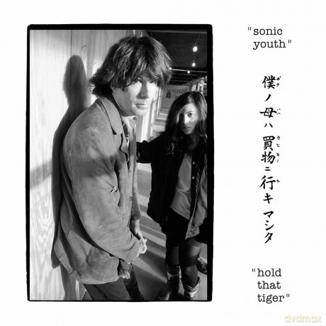 Sonic Youth: Hold That Tiger [Winyl]