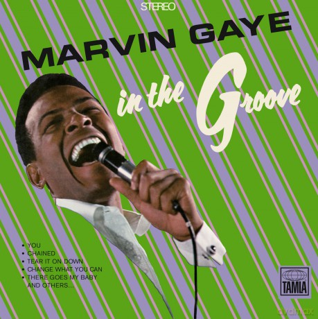Marvin Gaye: In The Groove [Winyl]