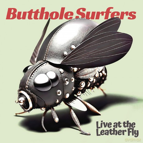 Butthole Surfers: Live At The Leather Fly [CD]