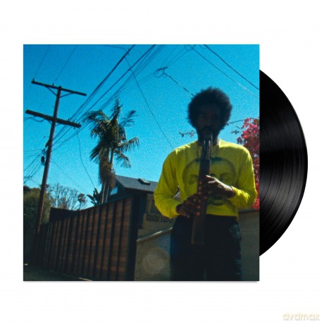 Andre 3000: Moving Day [Winyl]