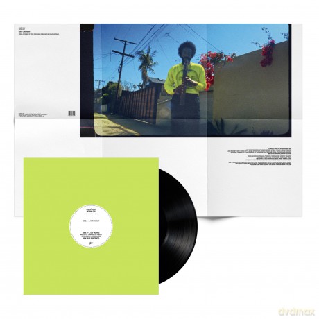 Andre 3000: Moving Day [Winyl]