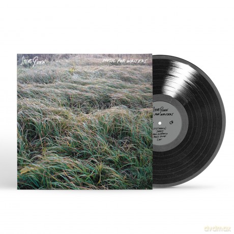 Steve Gunn: Music For Writers [Winyl]