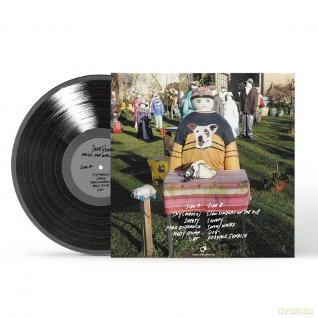 Steve Gunn: Music For Writers [Winyl]