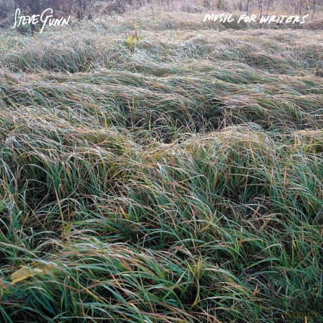 Steve Gunn: Music For Writers (Opaque Orange) [Winyl]