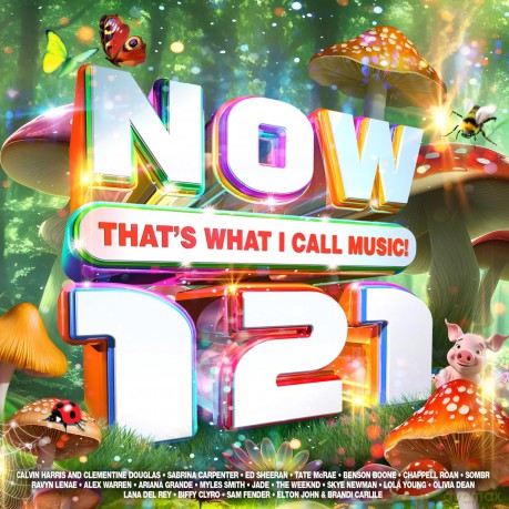 Now Thats What I Call Music! 121 [CD]