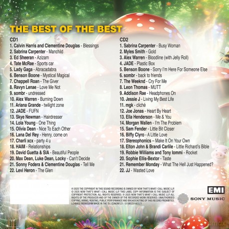 Now Thats What I Call Music! 121 [CD]